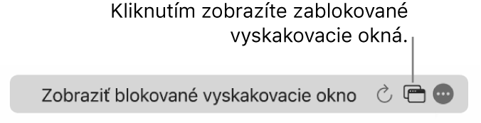 Pole dynamického Vyhľadávania s ikonou na zobrazenie vyskakovacích okien.