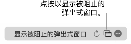 智能搜索栏包含显示被阻止的弹出式窗口的图标。