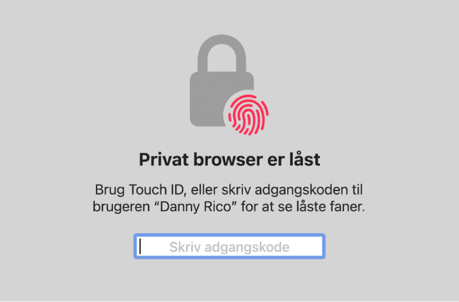 Et vindue med en anmodning om Touch ID eller din adgangskode til at låse vinduer i Privat browser op.