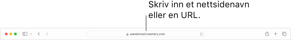 Det smarte søkefeltet i Safari, der du kan skrive inn en sides navn eller URL.