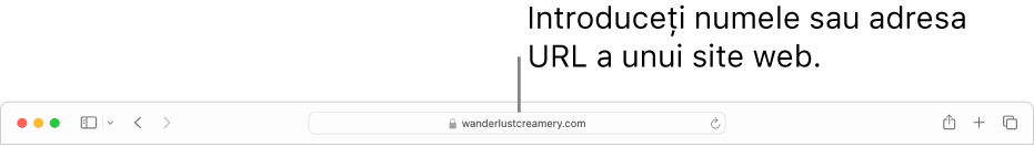 Câmpul de căutare inteligentă Safari, unde puteți introduce numele sau adresa URL a unei pagini.