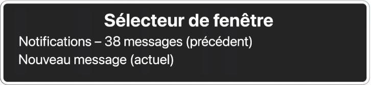 Le sélecteur de fenêtre répertoriant deux fenêtres ouvertes.