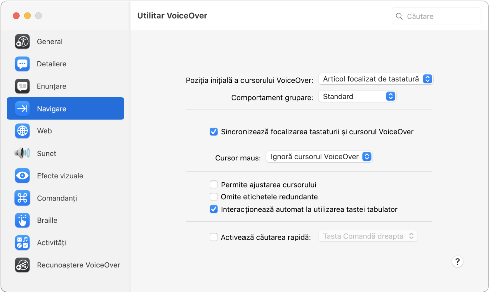 Fereastra Utilitar VoiceOver afișând categoria Navigare selectată în bara laterală din stânga și opțiunile sale în partea dreaptă. În colțul din dreapta jos al ferestrei apare un buton Ajutor pentru a afișa subiectul de ajutor online VoiceOver, care explică diferitele opțiuni.