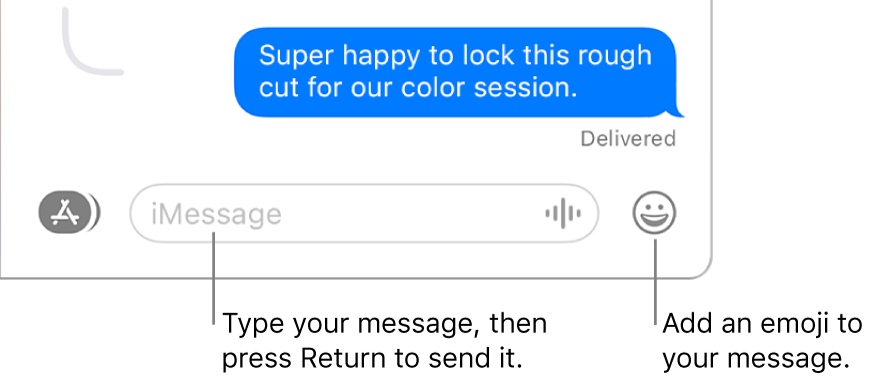 A transcript in the Messages window, with the message field showing at the bottom of the window.