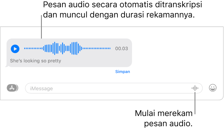 Percakapan Pesan, menampilkan tombol Rekam Audio di samping bidang teks di bagian bawah jendela. Pesan audio dengan transkripsinya dan panjang yang direkam muncul di percakapan.