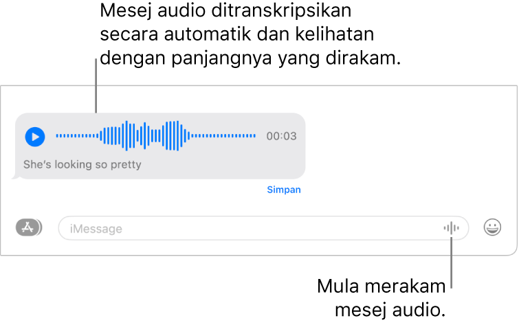 Perbualan Mesej, menunjukkan butang Rakam Audio bersebelahan medan teks di bahagian bawah tetingkap. Mesej audio dengan transkripsi dan panjang rakaman kelihatan dalam perbualan.