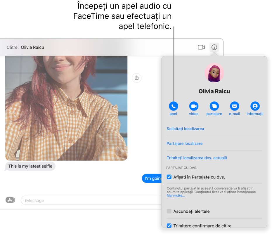 Vizualizarea Informații, care apare după ce faceți clic pe butonul Informații în cadrul unei conversații. Utilizați butonul de apelare din stânga pentru a începe un apel audio FaceTime sau pentru a efectua un apel telefonic.