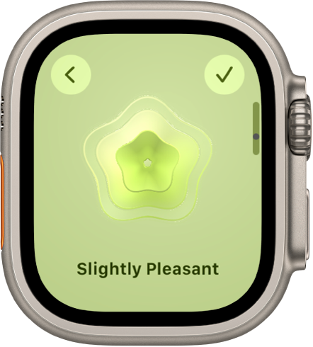 Apple introduces WatchOS 8 with redesigned Home app, Mindfulness app,  respiratory rate tracking during sleep and more