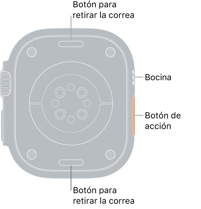 Recargar el Apple Watch Ultra - Soporte técnico de Apple (US)