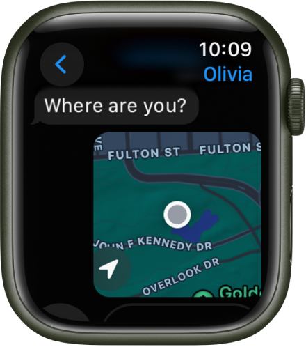The Messages app showing the map of a shared location.