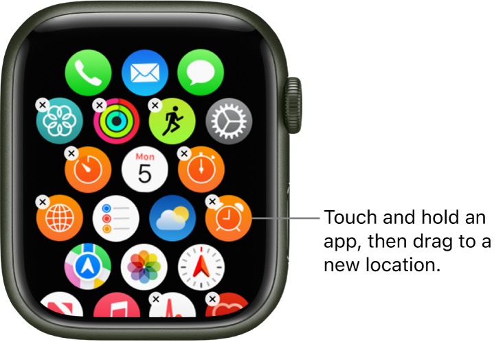 Apple Watch Home Screen in grid view.