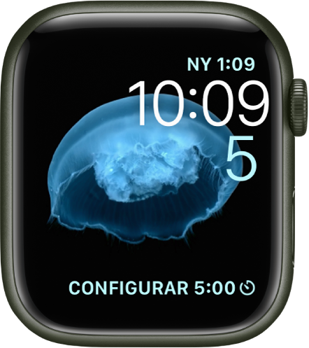 La carátula Movimiento mostrando una medusa. Puedes escoger qué objeto se muestra en movimiento y agregar varias complicaciones. La complicación Reloj Mundial en la parte superior derecha, la fecha y hora están debajo, y la complicación Temporizador está en la parte inferior.