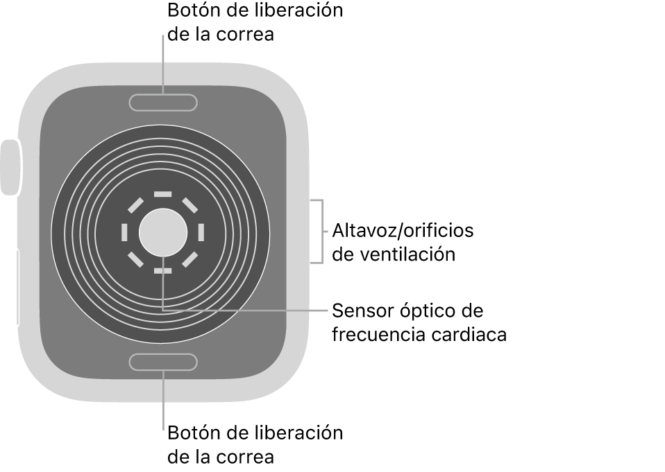 Manual de usuario apple best sale watch 5