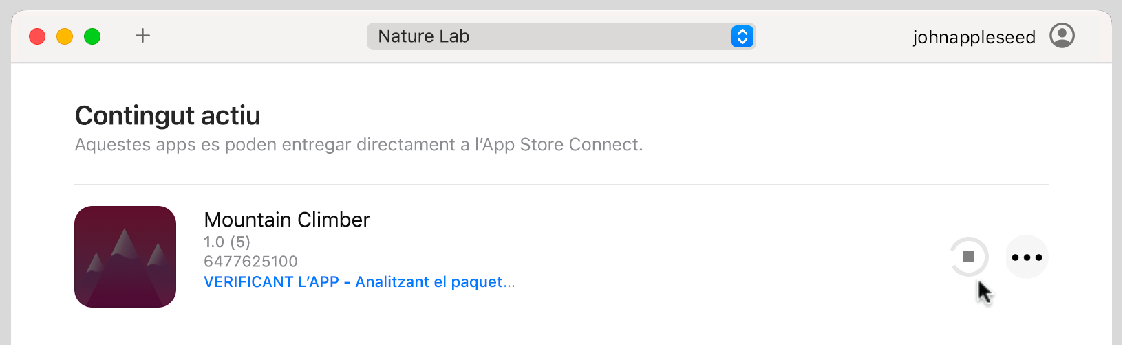 Exemple de la finestra de l’app Transporter que mostra un arxiu de paquet actiu. El Transporter està verificant i autenticant l’arxiu de paquet amb Apple.
