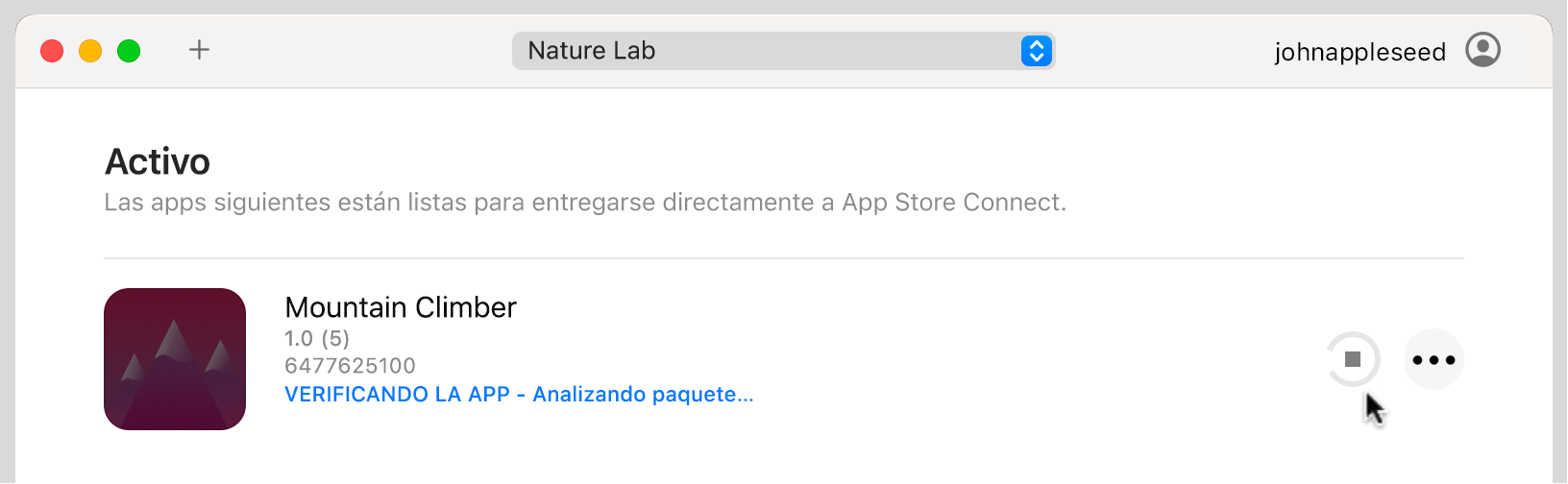 Un ejemplo de la ventana de la app Transporter donde se muestra un archivo de paquete Activo. Transporter está verificando y autenticando el archivo de paquete con Apple.