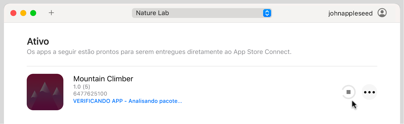 Um exemplo de janela do app Transporter mostrando um arquivo de pacote Ativo. O Transporter está verificando e autenticando o arquivo de pacote junto à Apple.
