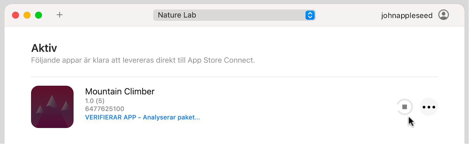 Ett exempel på Transporter-appfönstret med en aktiv paketfil. Transporter verifierar och autentiserar paketfilen med Apple.