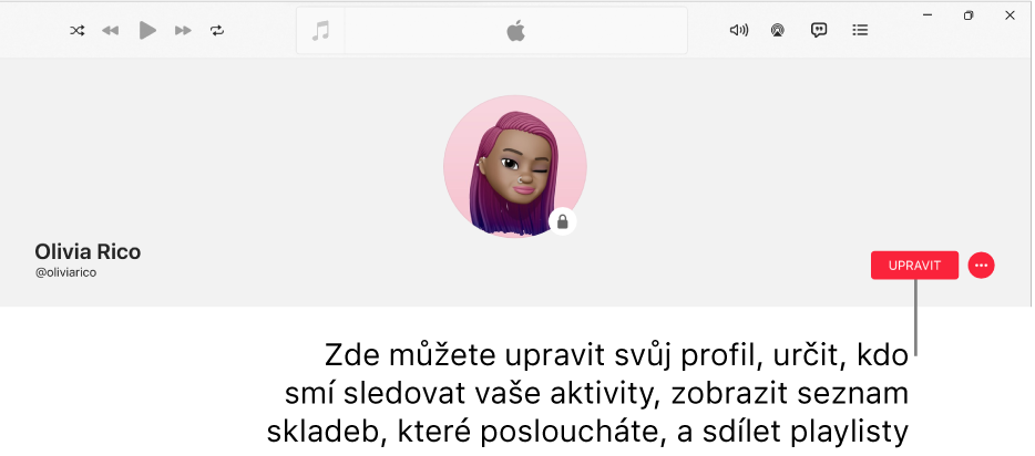 Profilová stránka v Apple Music: Na pravé straně okna se nachází tlačítko Upravit, po jehož výběru můžete v profilu provést změny, určit, kdo smí sledovat vaše aktivity, zobrazit hudbu, kterou posloucháte, a sdílet playlisty.