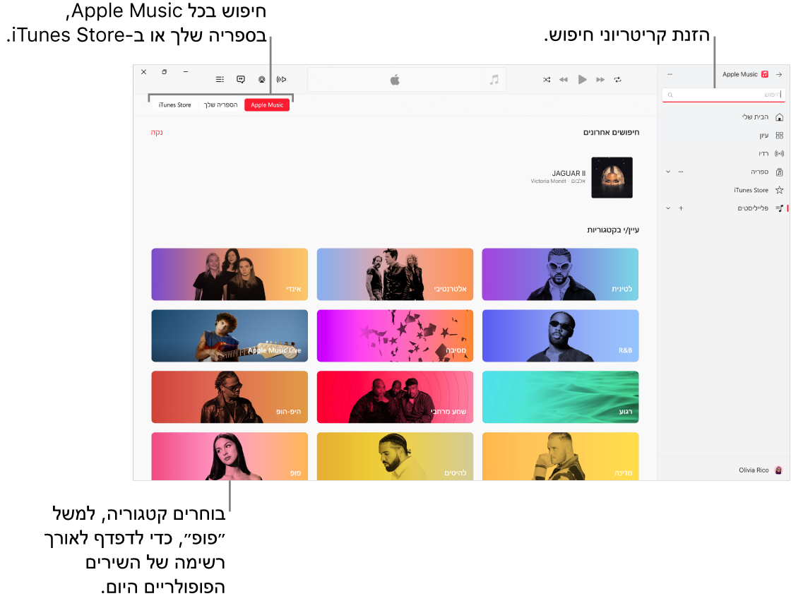החלון של Apple Music מציג את שדה החיפוש בפינה הימנית העליונה, רשימת הקטגוריות במרכז החלון, והכפתורים Apple Music, ״הספריה שלך״ ו‑iTunes Store זמינים בפינה השמאלית העליונה.