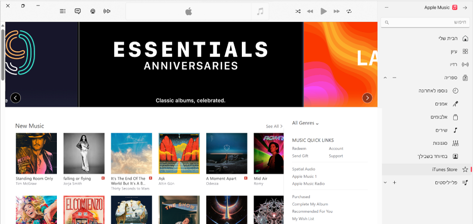 החלון הראשי של iTunes Store: בסרגל הצד, האפשרות iTunes Store מסומנת.
