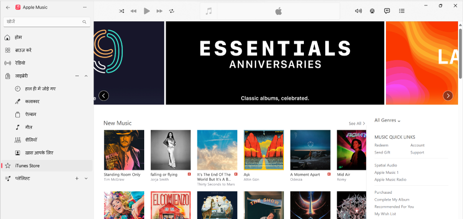 iTunes Store मुख्य विंडो : साइडबार में iTunes Store चिह्नांकित होता है।
