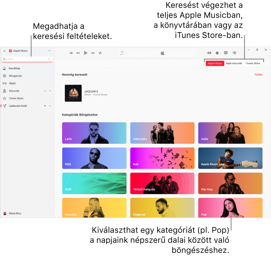 Az Apple Music ablaka a keresési mezővel a bal felső sarokban, a kategóriák listájával az ablak közepén, valamint az Apple Music, a Könyvtár és az iTunes Store elemekkel a jobb felső sarokban.