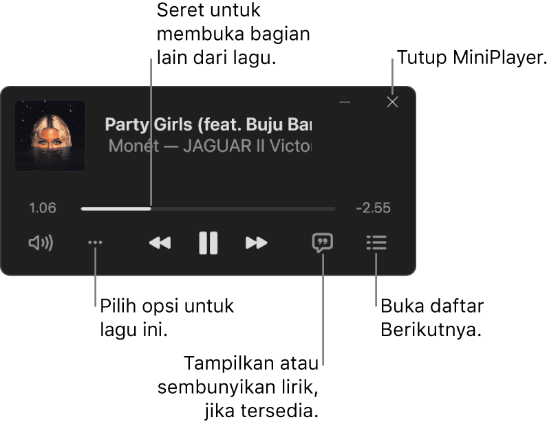 MiniPlayer menampilkan kontrol untuk lagu yang sedang diputar. Bagian utama jendela menampilkan gambar album untuk lagu. Di bawah gambar adalah penggeser untuk berpindah ke bagian lain dari lagu, dan tombol untuk menyesuaikan volume, memilih opsi, menampilkan lirik, dan melihat apa yang diputar berikutnya. Di pojok kanan atas terdapat tombol untuk menutup MiniPlayer.