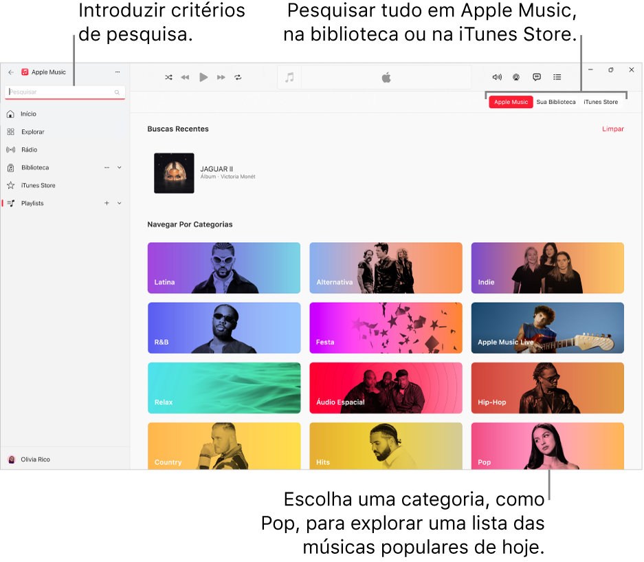 Janela do Apple Music mostrando o campo de pesquisa no canto superior esquerdo, a lista de categorias no centro da janela e os botões Apple Music, Sua Biblioteca e iTunes Store no canto superior direito.