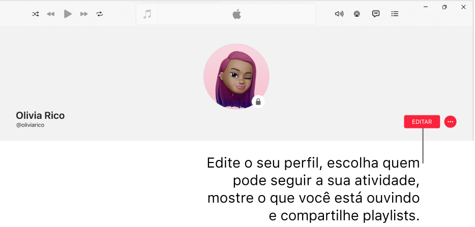 Página de perfil no Apple Music: no lado direito da janela, o botão Editar, que você pode selecionar para editar o perfil, escolher quem pode seguir sua atividade, mostrar o que você está ouvido e compartilhar playlists.