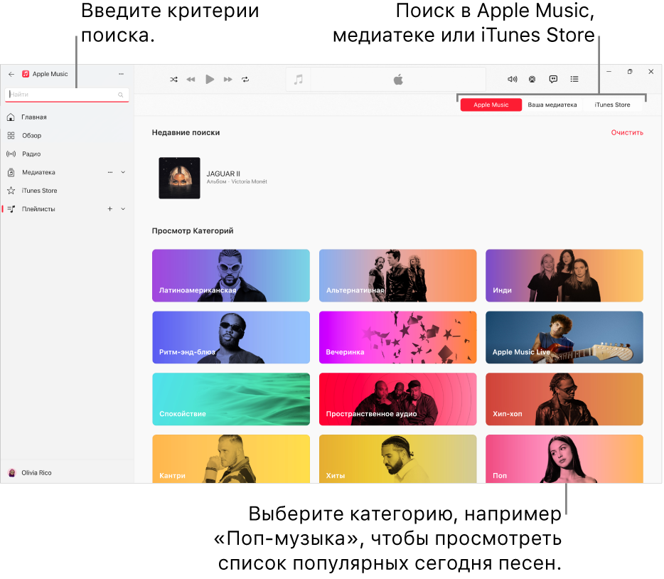 В левом верхнем углу окна Apple Music показано поле поиска, в центре окна показан список категорий поиска, а в правом верхнем углу доступны кнопки «Apple Music», «Ваша медиатека» и «iTunes Store».