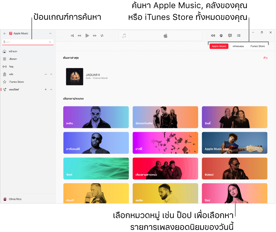 หน้าต่าง Apple Music ที่แสดงช่องค้นหาที่มุมซ้ายบนสุด รายการหมวดหมู่ที่กึ่งกลางของหน้าต่าง และปุ่ม Apple Music, คลังของคุณ และ iTunes Store ที่มุมขวาบนสุด