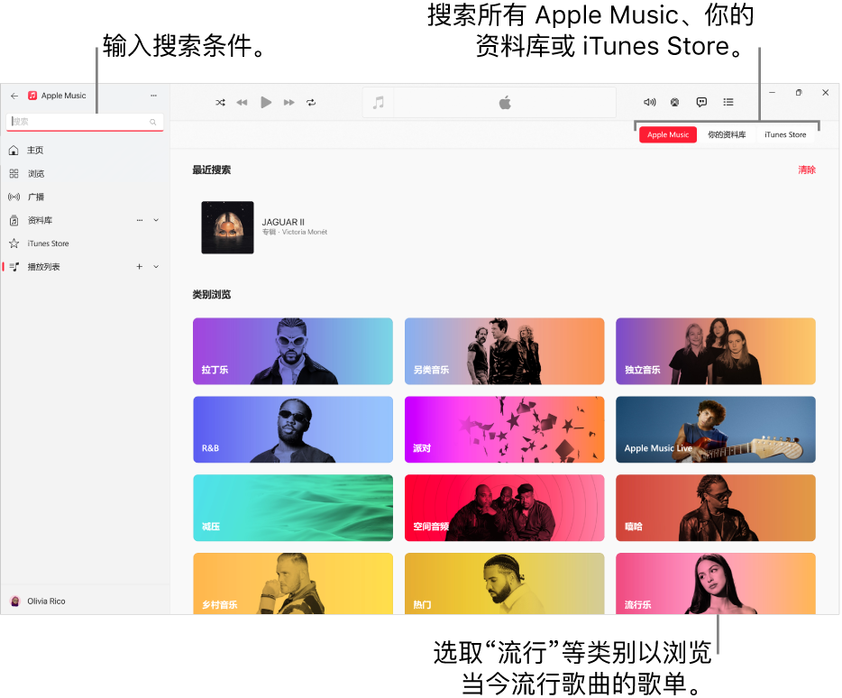 Apple Music 窗口的左上角显示搜索栏，窗口中间是类别列表，右上角显示 Apple Music、“你的资料库”和 iTunes Store 按钮。