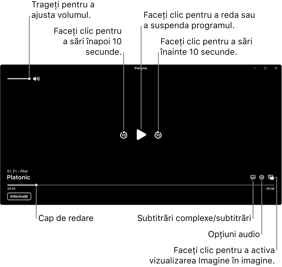 Comenzile de redare din zona de vizualizare, inclusiv butoanele pentru redare sau suspendare, salt înainte, salt înapoi și ajustarea volumului