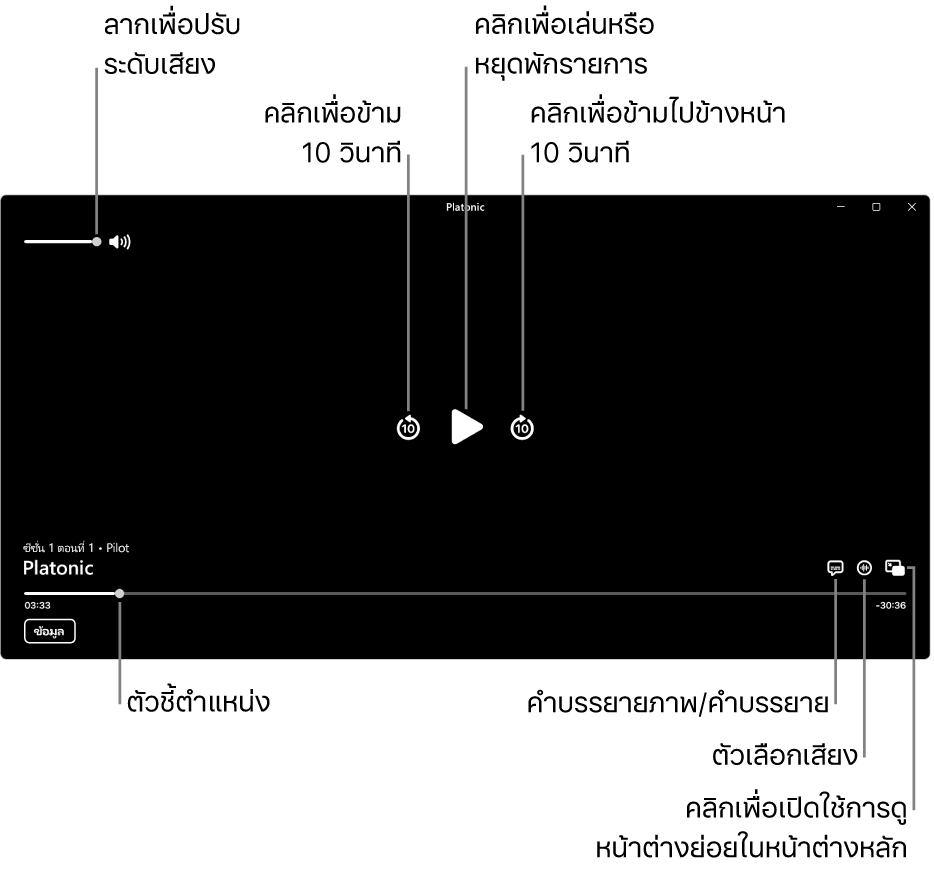 ตัวควบคุมการเล่นในหน้าต่างแสดงซึ่งรวมถึงปุ่มต่างๆ สำหรับเล่นหรือหยุดพัก ข้ามไปข้างหน้าหรือข้ามไปข้างหลัง และปรับระดับเสียง