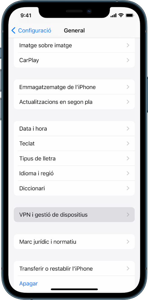 Una pantalla de l’iPhone que mostra l’opció “VPN i gestió de dispositius” seleccionada.