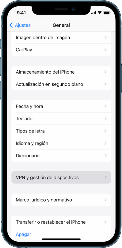 Pantalla de un iPhone con la opción “VPN y gestión de dispositivos” seleccionada.
