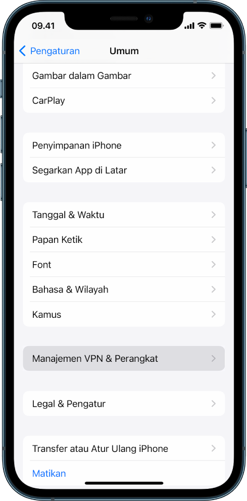 Layar iPhone menampilkan opsi Manajemen VPN & Perangkat dipilih.