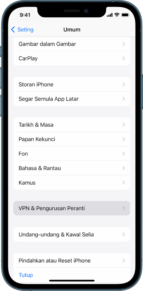 Skrin iPhone menunjukkan pilihan Pengurusan VPN & Peranti dipilih.