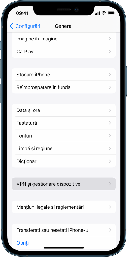 Ecranul unui iPhone cu opțiunea VPN și gestionare dispozitive selectată.