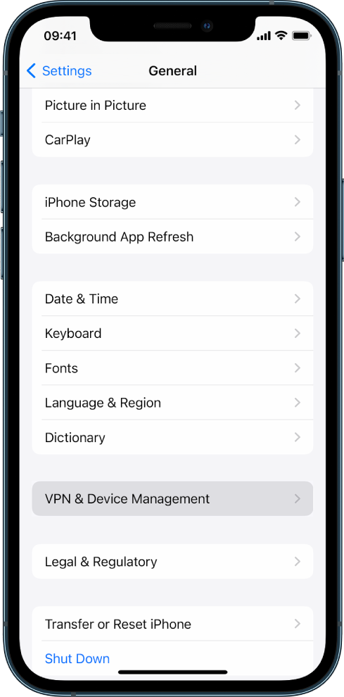 An iPhone screen showing the VPN & Device Management option selected.