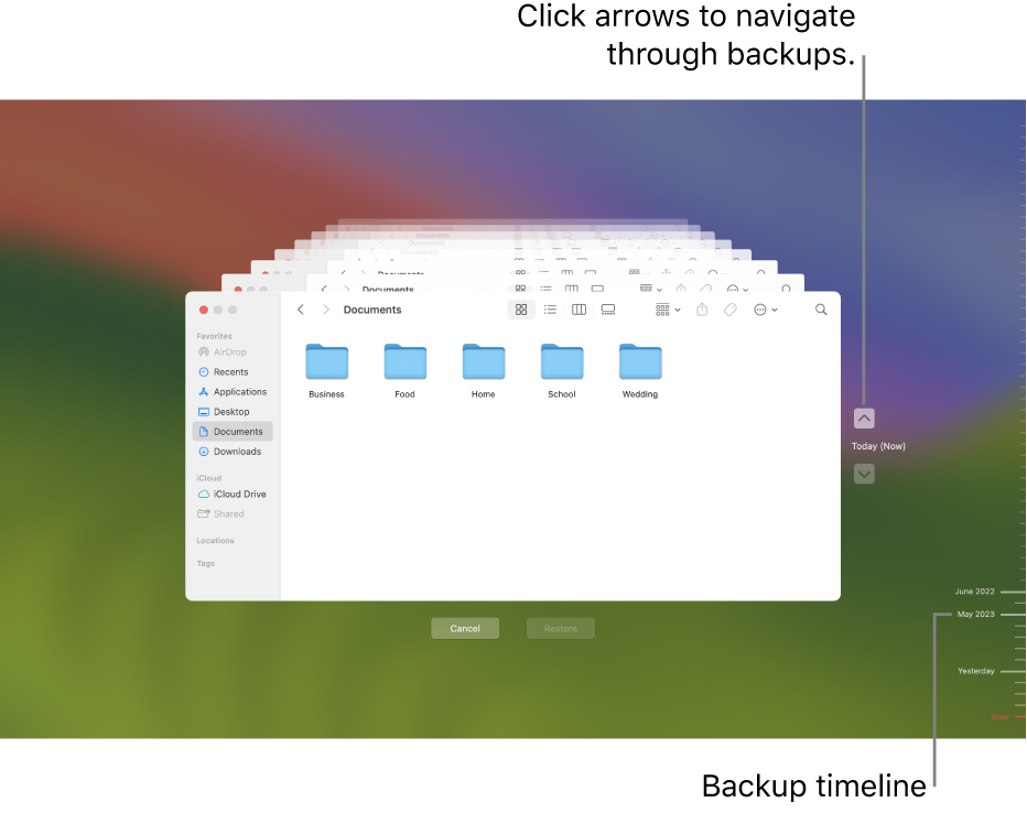 Tick marks in the backup timeline. The red tick mark indicates the backup you’re browsing.