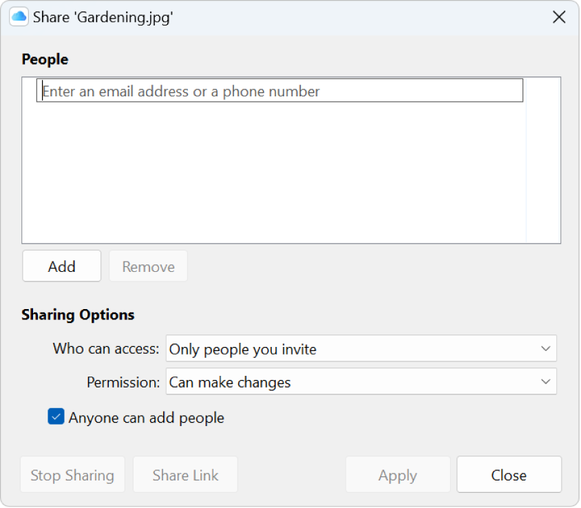 The share options window for iCloud Drive.