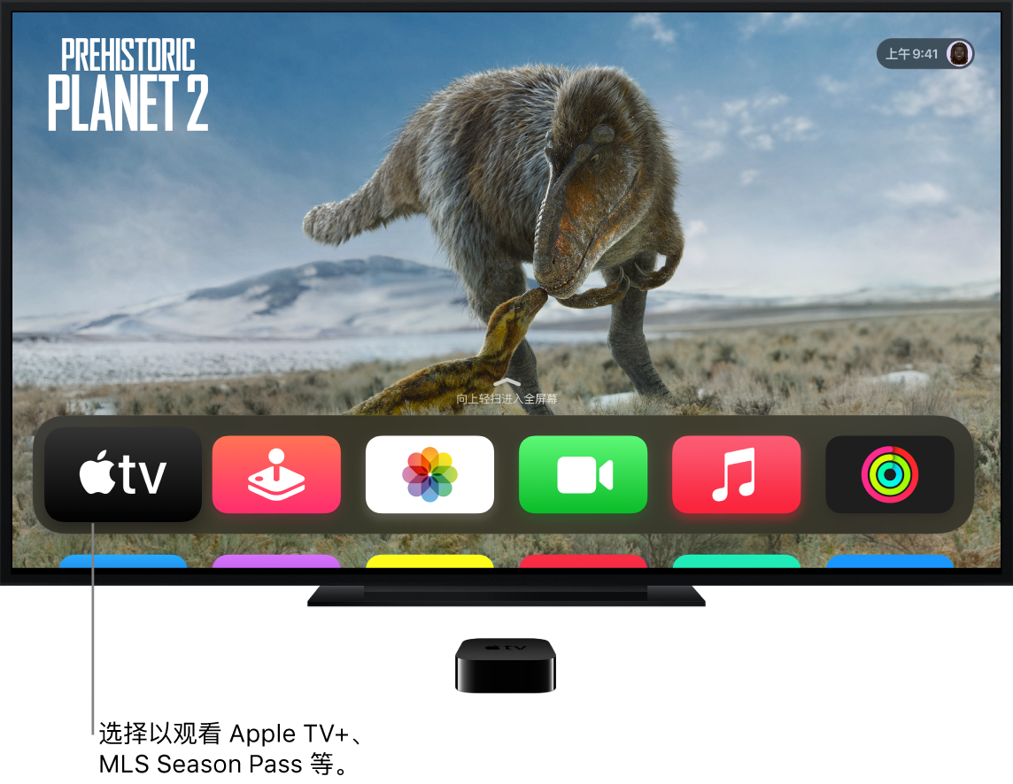 主屏幕上的 Apple TV App