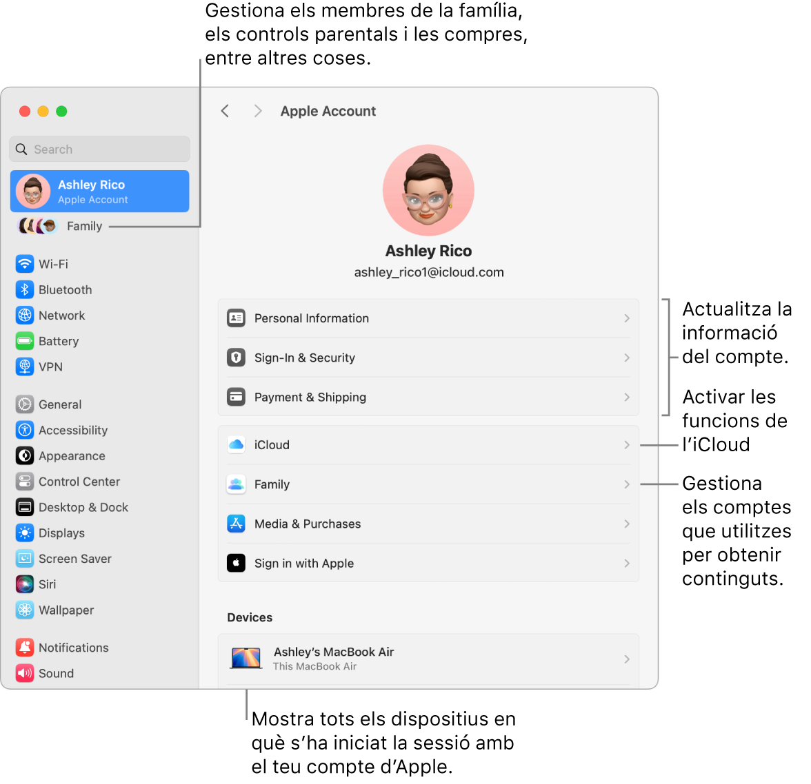 A la configuració del sistema, es veu la secció del compte d’Apple, amb opcions per actualitzar la informació del compte, activar o desactivar les funcions de l’iCloud o gestionar els comptes de contingut multimèdia, i la secció “En família”, amb opcions per configurar un grup familiar, establir controls parentals i administrar les compres, entre altres coses.