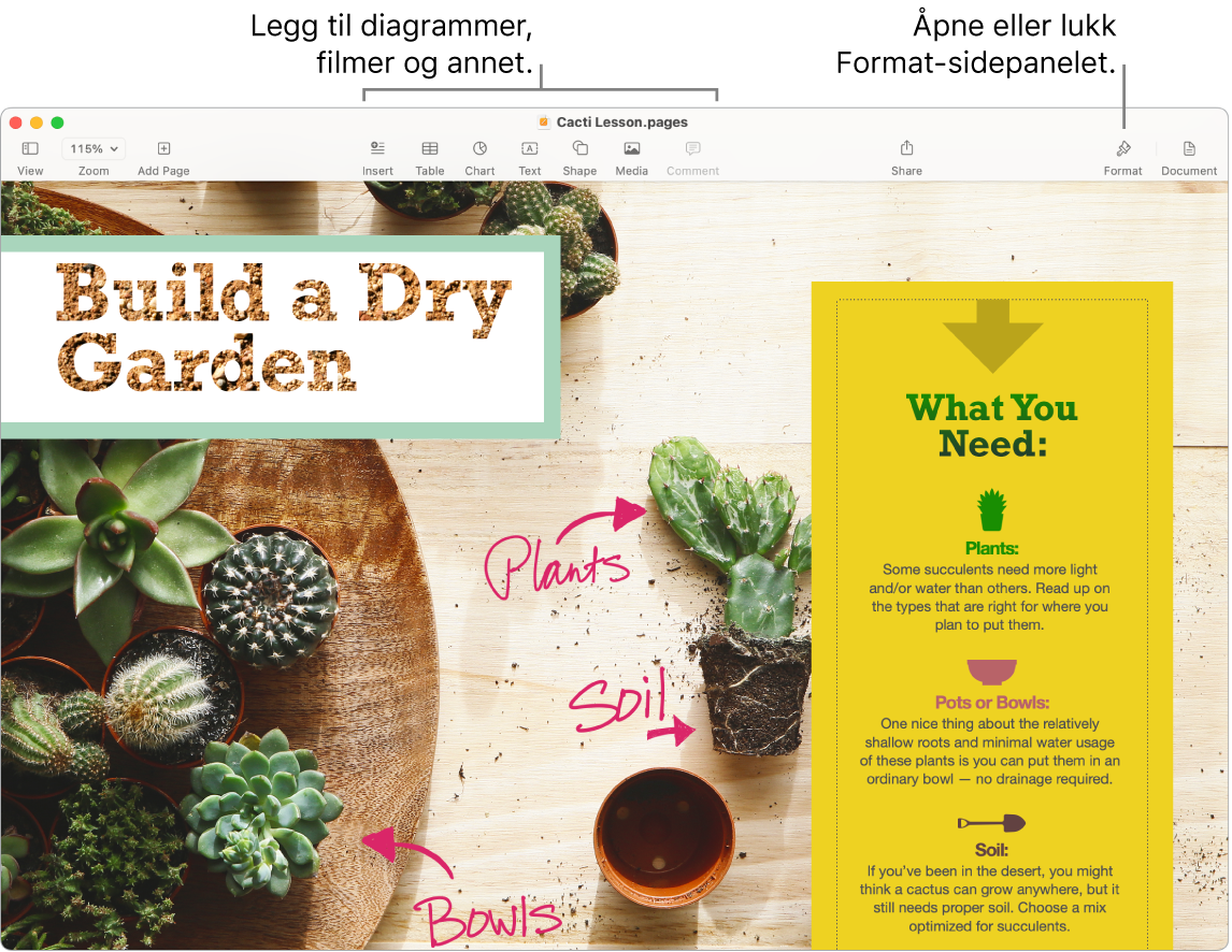 Et Pages-vindu som viser et dokument opprettet fra en mal. Det vises bildeforklaringer for å legge til diagrammer, filmer og mer i verktøylinjen og en bildeforklaring for hvordan du åpner eller lukker Format-sidepanelet.