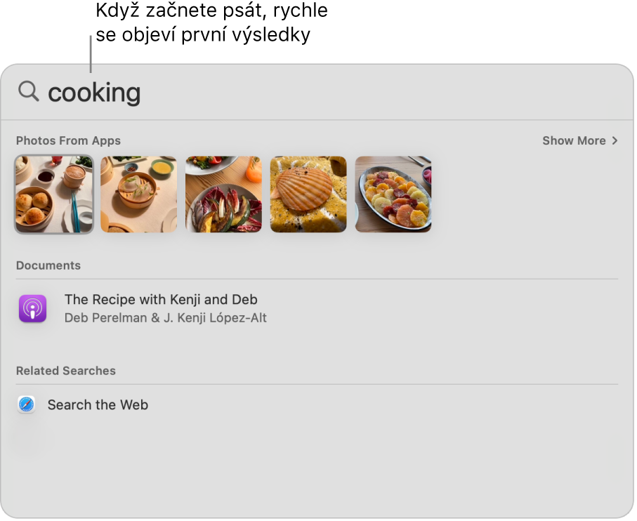 Okno Spotlightu s výsledky hledání výrazu „fotky koní“