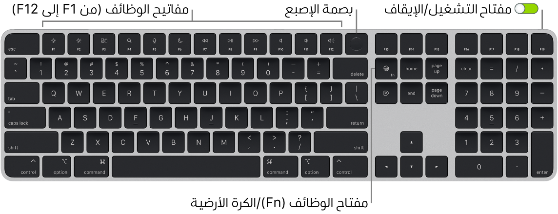 لوحة مفاتيح ماجيك المزودة ببصمة الإصبع ولوحة مفاتيح رقمية، يظهر فيها صف مفاتيح الوظائف وبصمة الإصبع على امتداد الجزء العلوي، ومفتاح الوظائف (Fn)/الكرة الأرضية على يمين مفتاح ⌦.