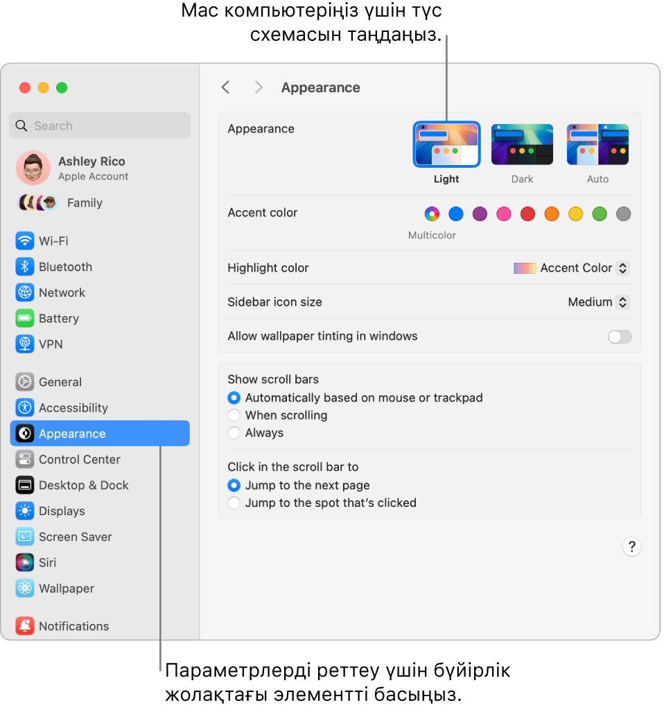 System Settings тармағындағы Appearance терезесі.