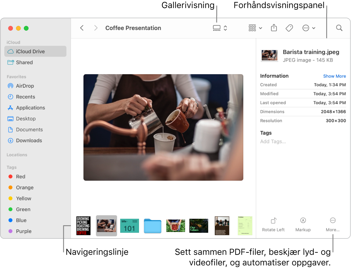 Et åpent Finder-vindu i gallerivisning som viser et stort bilde med en rekke småbilder – navigeringslinjen – under det. Kontroller for rotering, merking og annet er til høyre for navigeringslinjen.