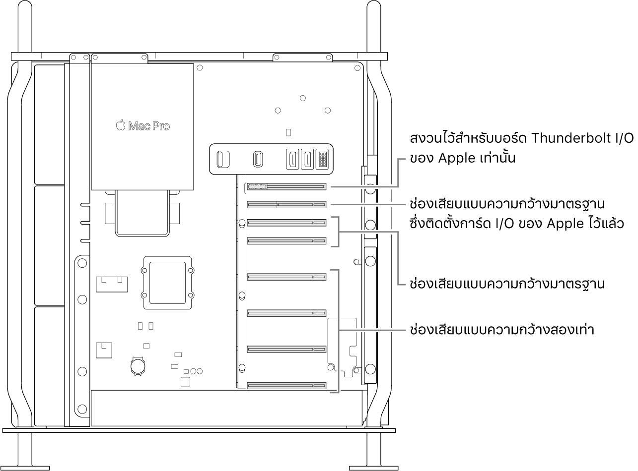 ด้านข้างของ Mac Pro ที่เปิดออกโดยมีตัวชี้บรรยายแสดงให้เห็นตำแหน่งของช่องเสียบแบบความกว้างสองเท่าสี่ช่อง ช่องเสียบแบบความกว้างมาตรฐานสองช่อง ช่องเสียบแบบความกว้างมาตรฐานสำหรับการ์ด Apple I/O และช่องเสียบสำหรับบอร์ด Thunderbolt I/O